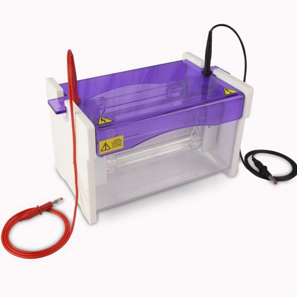  Mini Wide Dual Vertical Gel Electrophoresis Tank, 20 x 10cm. Complete with 2 sets of glass Plates with 1mm Thick Bonded Spacers, 2 x 24 Sample 1mm Thick Combs, Cooling Pack and Including Caster