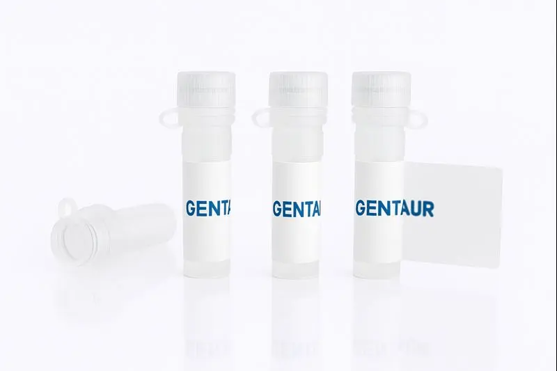 ICOS Protein, Mouse (Biotinylated, HEK293, Fc-Avi)