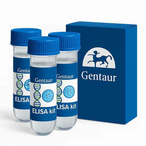 Rat Ceruloplasmin ELISA Kit 1 Kit (96 Wells) - 1 Kit