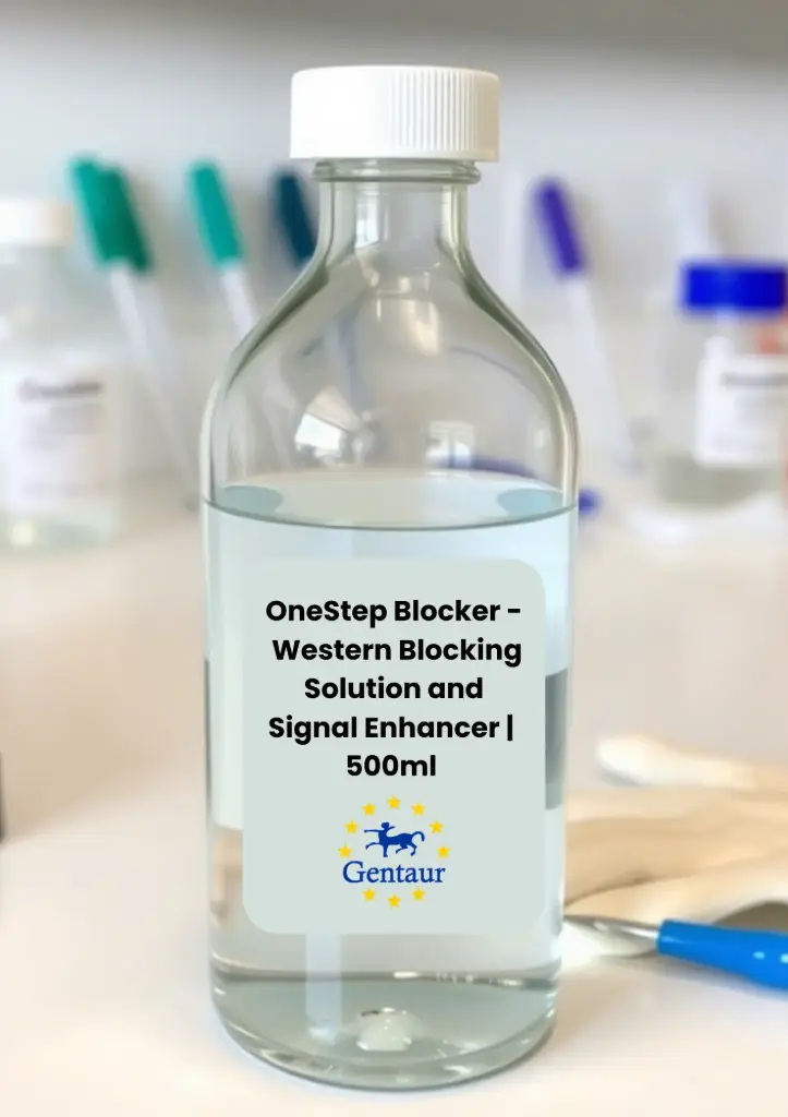 Gentaur OneStep Blocker - Western Blocking Solution and Signal Enhancer