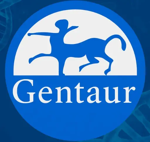 [IB49688] TNF- Alpha (Mouse) ELISA - 96 Determinations